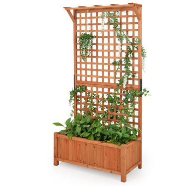 Indoor & Outdoor Plant Container with Hanging Roof