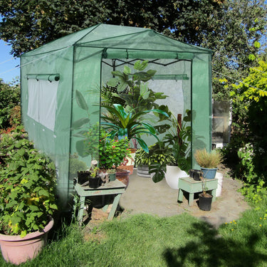 Portable Walk-in Greenhouse, Instant Pop-up Fast Setup Plant Gardening Green House Canopy with Roll-up Doors and Side Windows