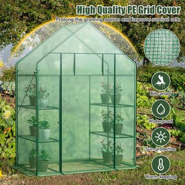 Garden Greenhouse with Hinged Door