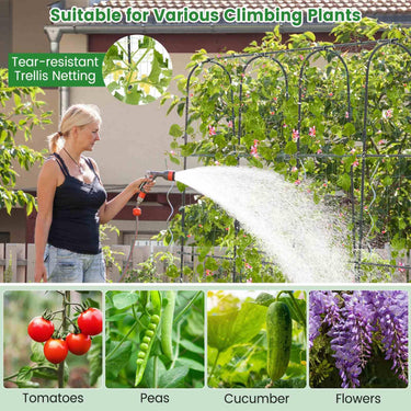 Garden Arched Trellis for Climbing Plants U-Shaped with Netting