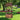 Garden Rustic Wishing Well Water Fountain Wooden Electric Backyard Pump Outdoor - PatiojoyAU