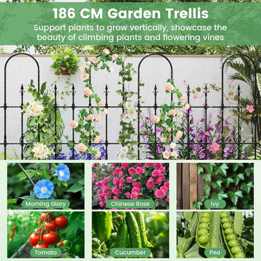 146cm L x 186cm H Garden Trellis for Climbing Plants Outdoor Rose Arch Trellis