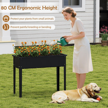 60 L x 27 W x 45 H/100 L x 40 W x 80 H cm Raised Garden Bed with Drainage Holes