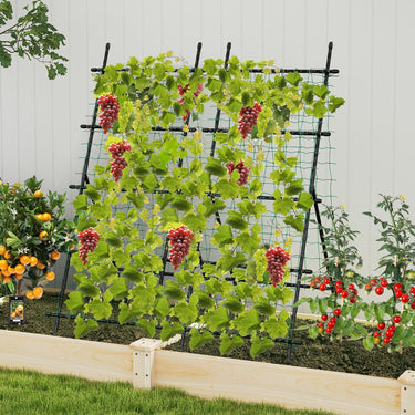 190cm x 80cm Cucumber Trellis for Raised Bed
