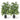 2 Pack Tall Fake Bamboo Artificial Potted Tree with 3 PE Trunk