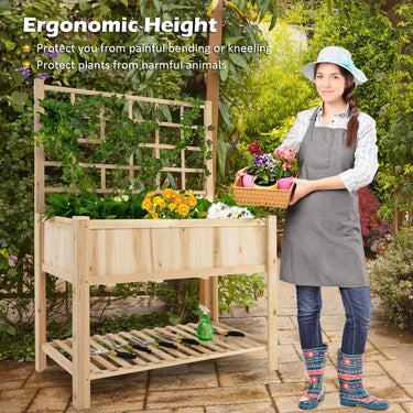 Wooden Raised Garden Bed W/Trellis, Large Plant Box, Open Storage Shelf, Liner, Elevated Plant Box Stand for Climbing Plant