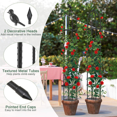 2-Pack Garden Trellis for Climbing Plants 197cm Tall Metal Obelisk Trellis