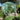 Portable Walk-in Greenhouse, Instant Pop-up Fast Setup Plant Gardening Green House Canopy with Roll-up Doors and Side Windows