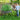 3-in-1 Raised Garden Bed with Greenhouse Cover and Trellis for Flower Herb Vegetable