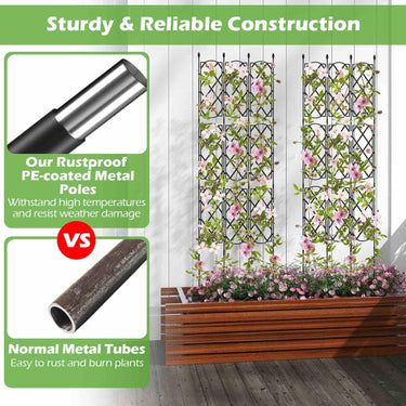 Garden Trellis for Climbing Plants 3-Pack Outdoor Plant Support Frame