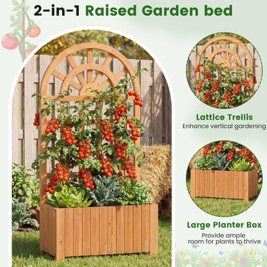Wooden Raised Garden Bed with Trellis, 121/182 cm Outdoor Planter Box w/Privacy Screen
