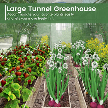 4x3x2m Outdoor Walk-in Tunnel Greenhouse 6 Roll-up Windows