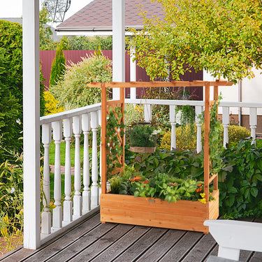 Raised Garden Bed with Trellis, Indoor & Outdoor with Top & Side Trellis