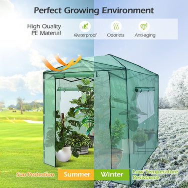 Portable Walk-in Greenhouse, Instant Pop-up Fast Setup Plant Gardening Green House Canopy with Roll-up Doors and Side Windows