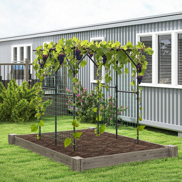 200 x 150 x 197 cm Grape Vine Support, Rustproof PE-Coated Metal Yard Lawn Arbor
