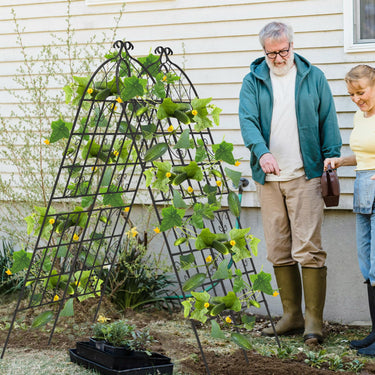 2 Pack Fence Trellis Panels Metal Garden Trellis for Climbing Plants