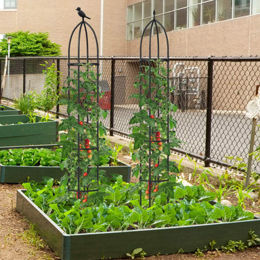 2-Pack Garden Trellis for Climbing Plants 197cm Tall Metal Obelisk Trellis
