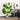 1.5M Artificial Faux Monstera Deliciosa Plant W/Cement Pot