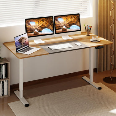 Electric Standing Desk with Cable Management Hole and Adjustable Height